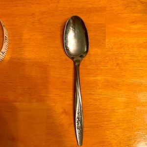 Superior Stainless Serving Spoon in Radiant Rose pattern from the 1950’s